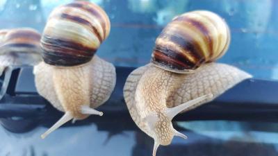 Прикрепленное изображение: IMG_20191005_173529.jpg